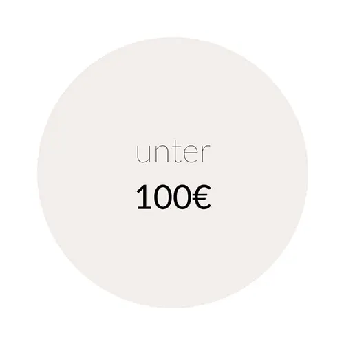 Modelle zum kleinen Preis unter 100 €